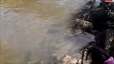 Studentin-Aneta - Nabada-Fick in Ulm und Schwoermontag