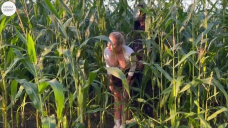 HannaSecret - ANONYMES HALLOWEENDATE IM MAISFELD