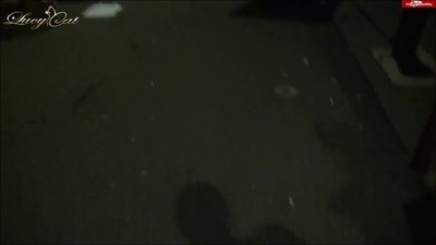 Lucy-Cat - Pippi-Report - Benutzung der Toiletten strengstens verboten