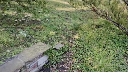 Fiona-Fuchs - VENUS 2025 - Es wird wieder entsaftet - endlich mit MILF Titten