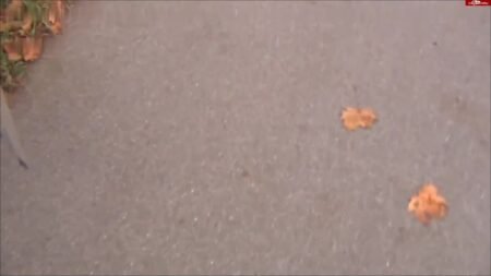 HornyRoxy - Motor kaltgepisst - Natursekt an der Bundesstraße