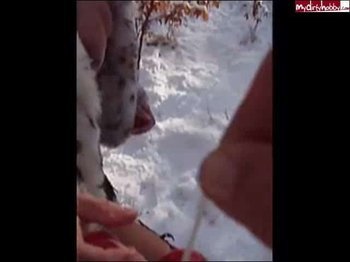 tittidd - Mit Liebeskugeln im Wald