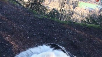 Mery-cherry - Zur Morgenstund ein Schwanz im Mund