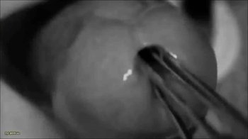 Deutsche_Dominaz - Im pissloch