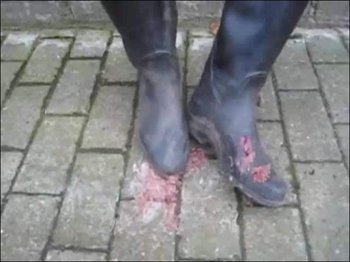 hotlive28 - Pralinencrushing mit Aigle Gummireitstiefeln