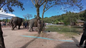 hermione_potter - Koh Tao & Koh Samui, Thailand VLOG Part 3