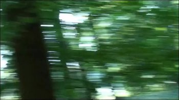 blondehexe - Geiler Gruppensex im Wald mit 2 Usern