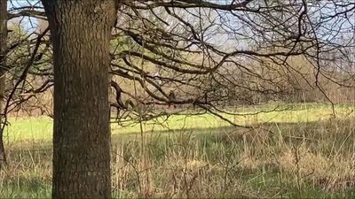 Bibixxx - GEILE SPRITZ-TOUR - OUTDOOR im Frühling