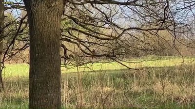 Bibixxx - Mit Nylons auf Inlinern zum Orgasmus