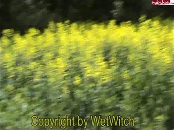 WetWitch - Im Rapsfeld
