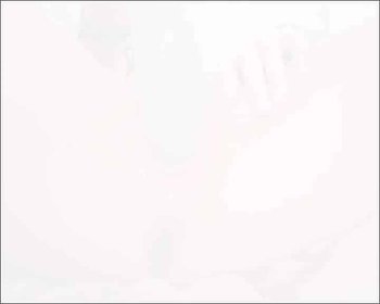 Showgirl18 - Weihnachts-Ständer