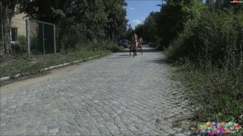 lolicoon - the pony cart