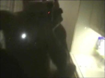 eve-deluxe - Kuechendienst