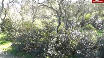 GINA-BANG - Pannenhilfe fuer 2 Spermafressen