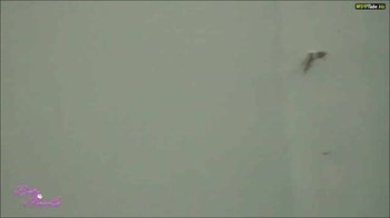 Dirty-Priscilla - Aus dem Fenster gepisst - Lost Places