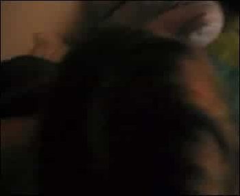 Cocktales - Premiere Shot Compilation