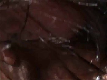 Willenlose - Facesitting