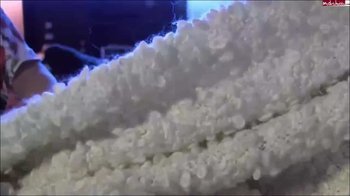 Magdalena_Pure - Samenraub