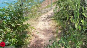 Marie_Hardon - Jetzt ist es passiert - Erwischt und Gefickt