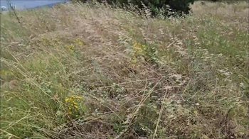 Nurse_Nellie - Fahrrad Tour im Urlaub mit Happy End