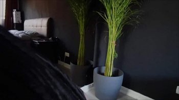 BusenBambi - DARF ICH DEINE WICHSVORLAGE SEIN