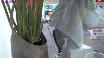 MaryHaze - Riskanter Public-Blowjob im Moebelhaus