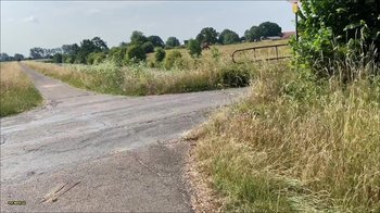 Julia-Winter - 100 Prozent Privat - Spontaner Blowjob