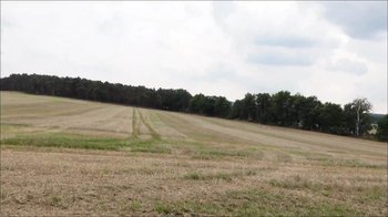 Miilaaa - Mein 1. Sexvideo - So war das nicht geplant