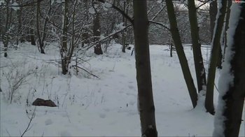 germandream2014 - Kleiner Qucki und Blasen mit dem Schnee