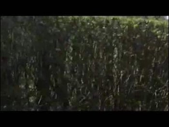 YourGirlNr1 - Perverser Fremder