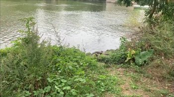 LandoRyder - Spontanes Date mit Studentin Sirena public am Mainufer