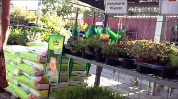 Sweet--Anna - Privat unterwegs im Gartenmarkt