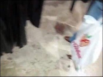 Hochimins - Moulin Rogue