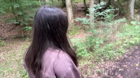 LeMaSnuSnu - Spaziergang mit Dildo in der Pussy eskaliert - Im Wald gefickt und ins Gesicht gewichst