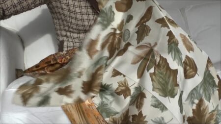 Lady_Victoria_Valente - Abspritzen Auf Meinen Seidenschal