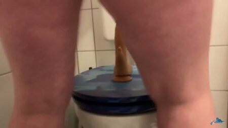 Sklavenhurekreiskleve - Sklave reitet dildo in der toilette