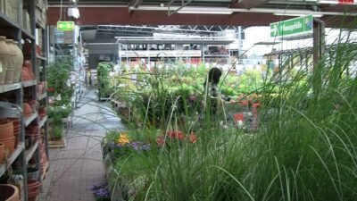 AnneDD28 - NS-Markttage, durch die Strumpfhose