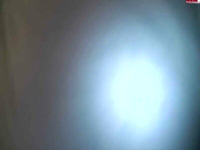 CatSphinx - XXL Wet-Jeans-Sunday