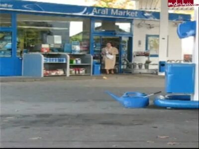 CatSphinx - Sunny Day